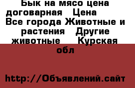 Бык на мясо цена договарная › Цена ­ 300 - Все города Животные и растения » Другие животные   . Курская обл.